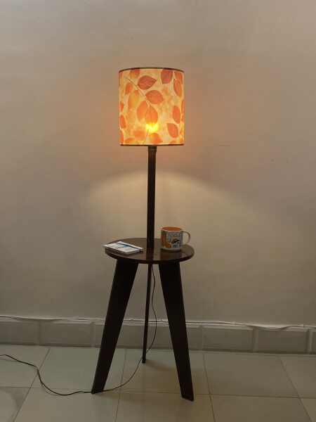 3 in 1 Floor Lamp