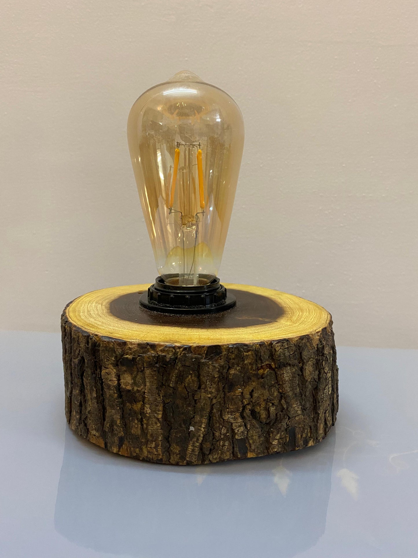 Nature Lamp Wall /table lamp